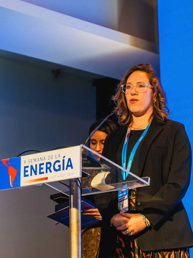 Excelencia energetica